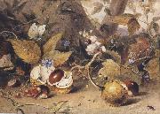 Elizabeth Byrne Still-life with horse chestnuts and insects (mk47) Sweden oil painting reproduction